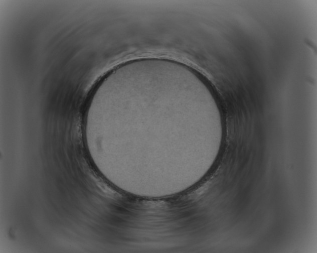 X0000095691498200801221236