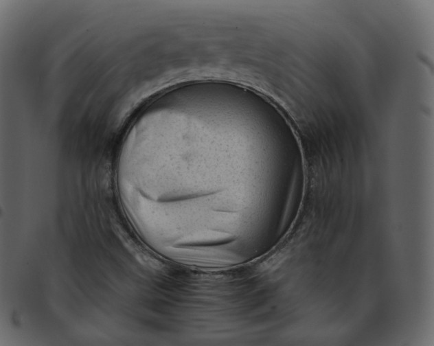 X0000095691499200801221236