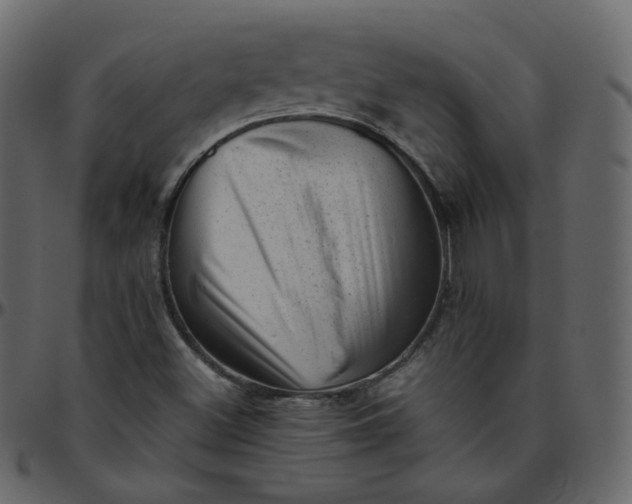 X0000095691500200801221236