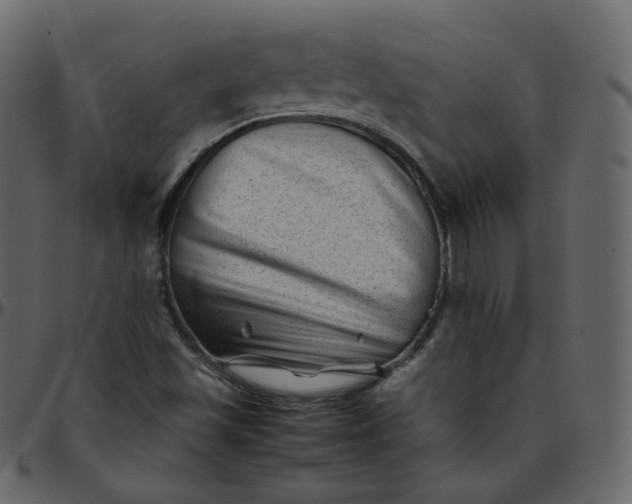 X0000095691501200801221236