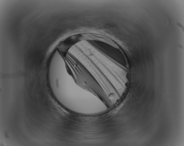 X0000095691502200801221236