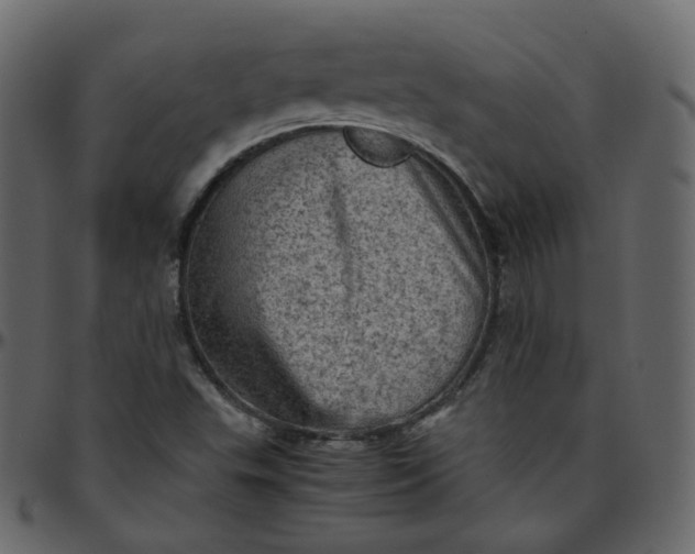 X0000095691503200801221236