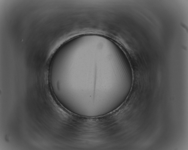 X0000095691504200801221236