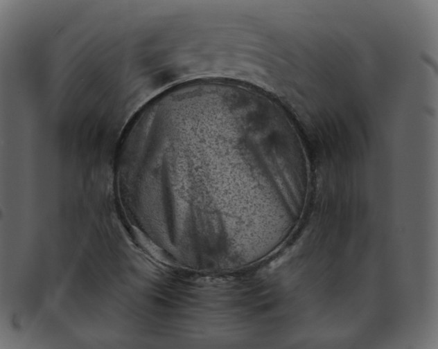 X0000095691505200801221236