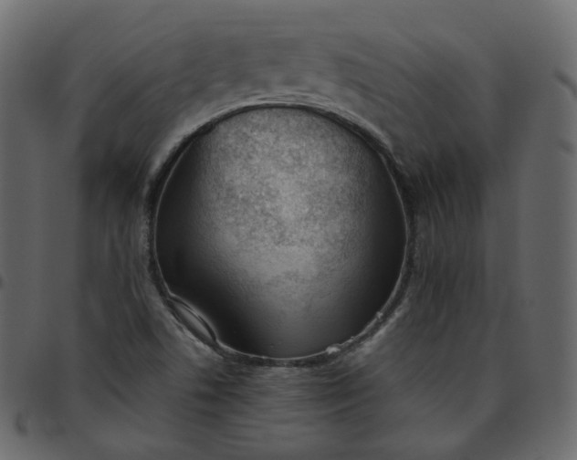 X0000095691506200801221236