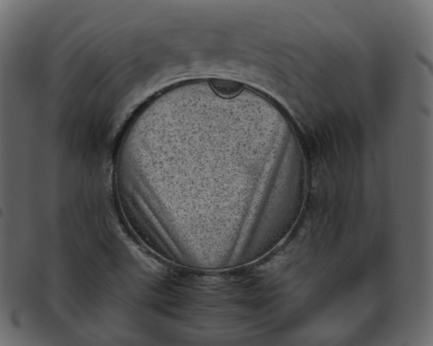 X0000095691507200801221236