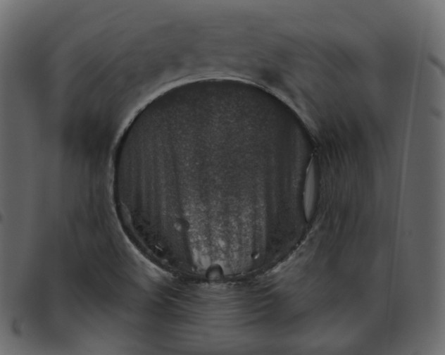 X0000095691508200801221236