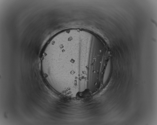 X0000095691509200801221236