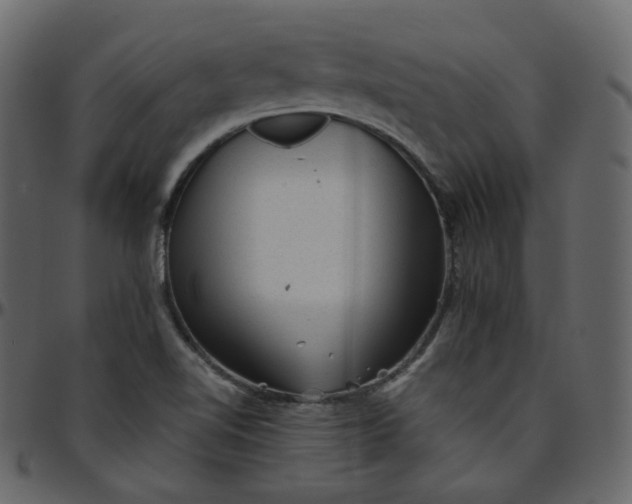 X0000095691510200801221236