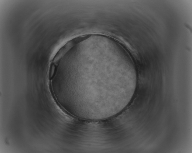 X0000095691512200801221236