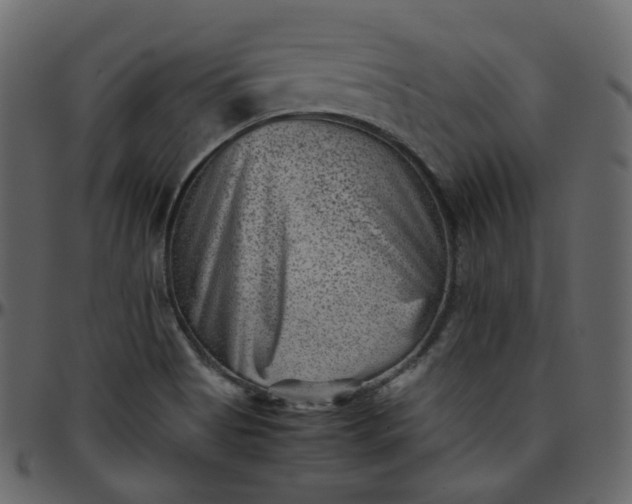 X0000095691513200801221236