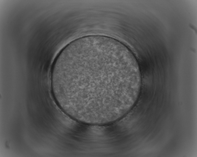 X0000095691514200801221236