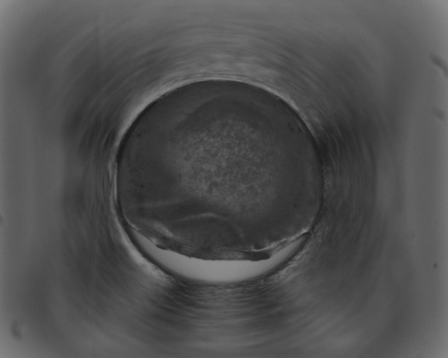 X0000095691515200801221236