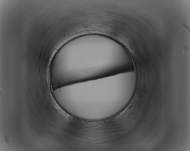 X0000095691516200801221236