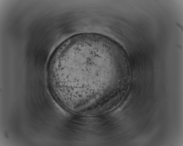 X0000095691517200801221237