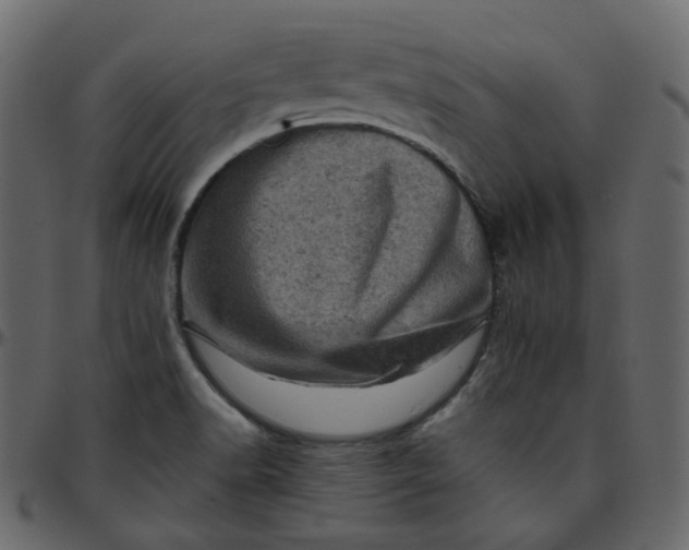 X0000095691518200801221237