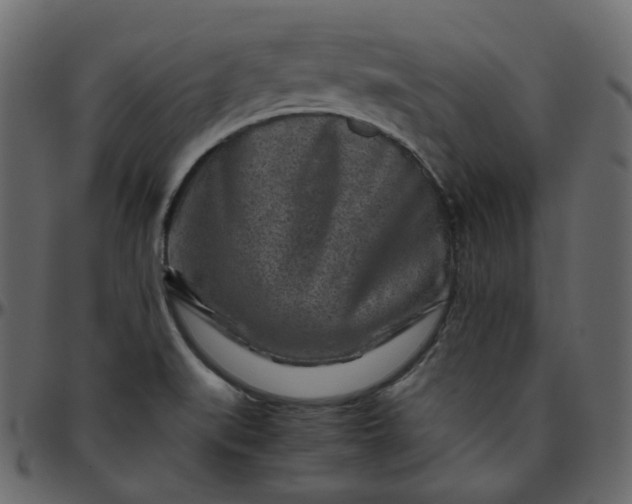 X0000095691519200801221237