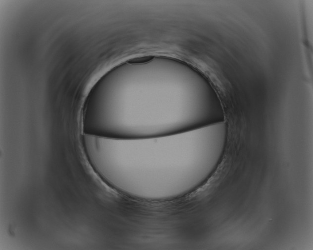 X0000095691520200801221237