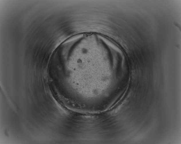 X0000095691521200801221237