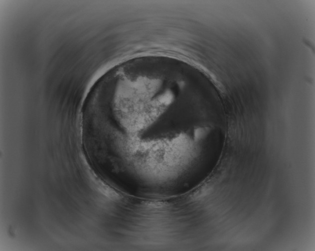 X0000095691522200801221237