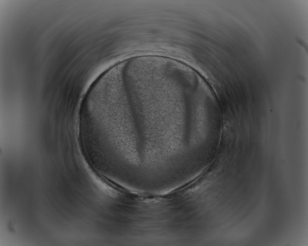 X0000095691523200801221237