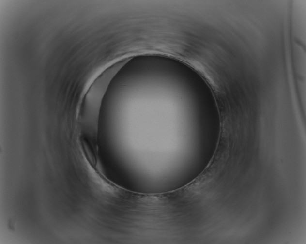 X0000095691524200801221237