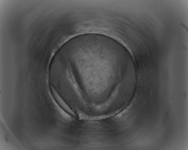 X0000095691525200801221237