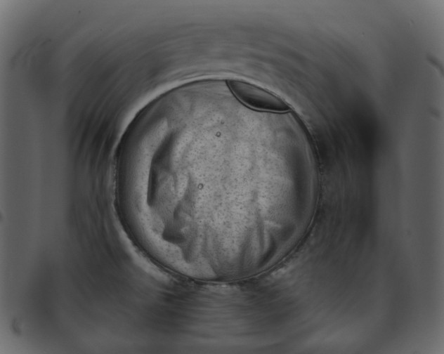 X0000095691526200801221237