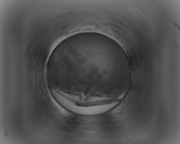 X0000095691527200801221237