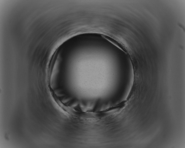 X0000095691528200801221237