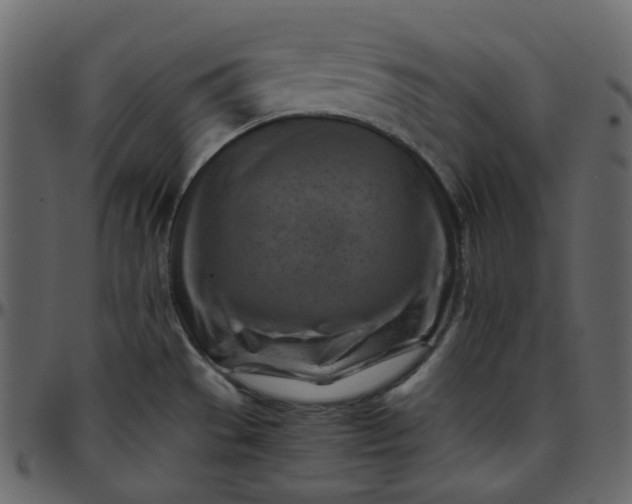 X0000095691529200801221237