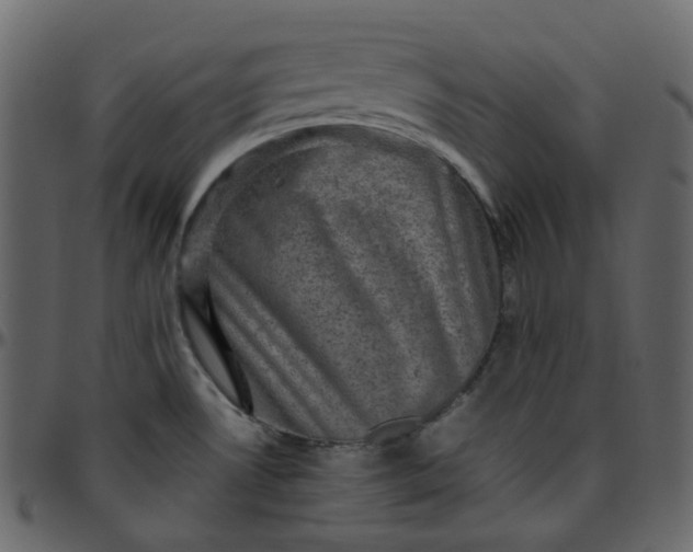 X0000095691530200801221237