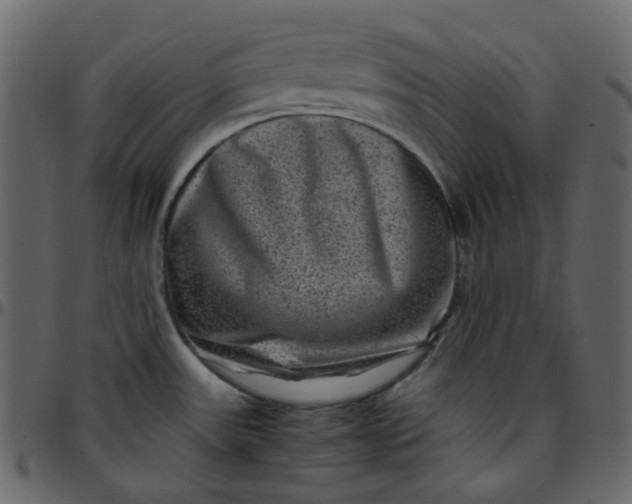 X0000095691531200801221237