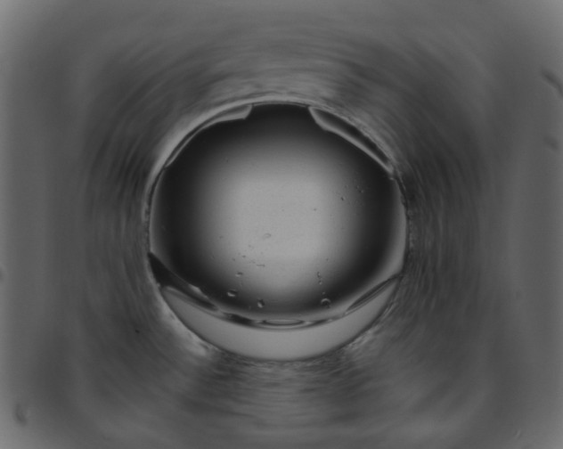 X0000095691532200801221237