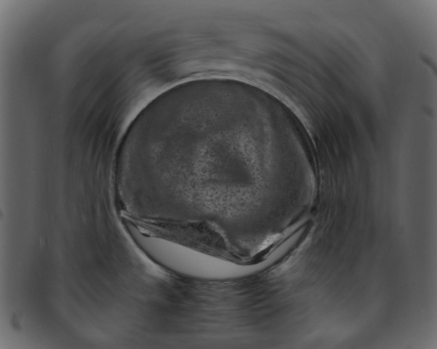 X0000095691533200801221237