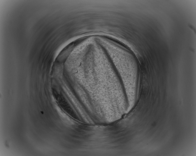 X0000095691534200801221237