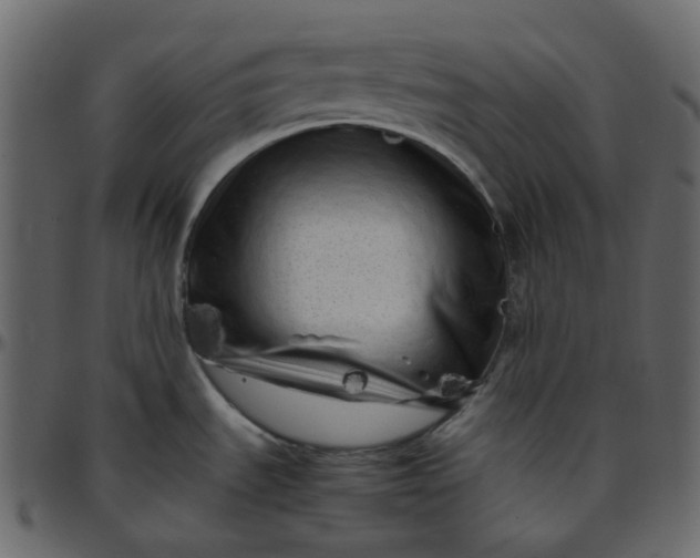 X0000095691535200801221237