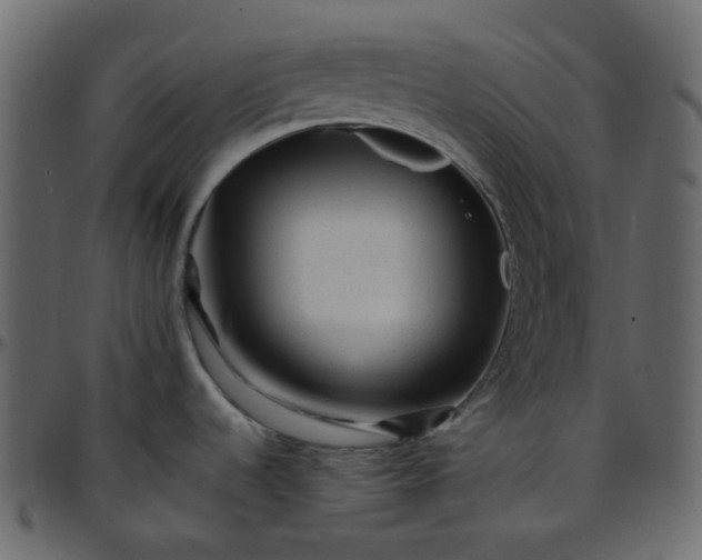 X0000095691536200801221237