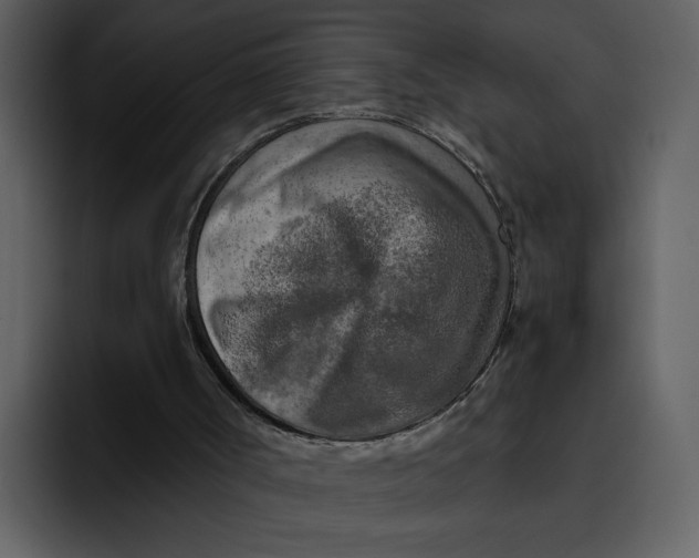 X0000095690002200801291226