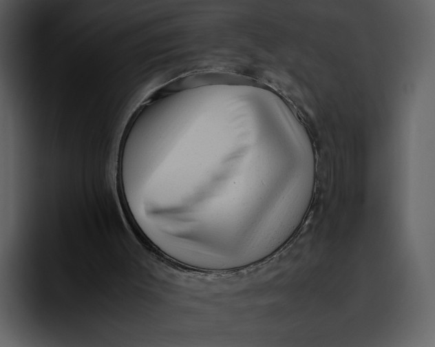 X0000095690003200801291226