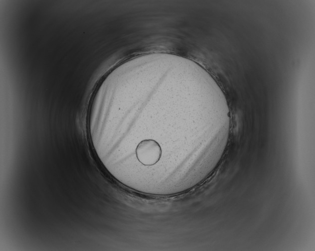 X0000095690004200801291226