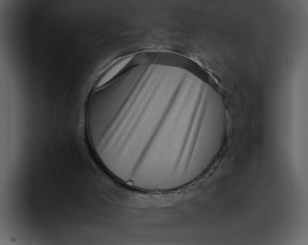 X0000095690005200801291226