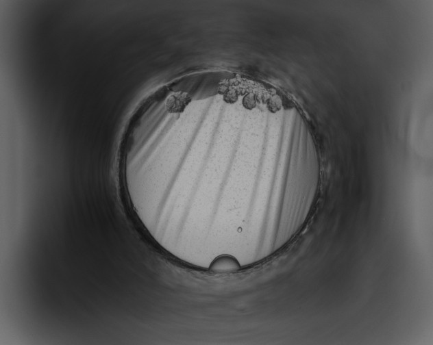 X0000095690006200801291226