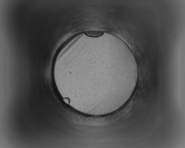 X0000095690008200801291226