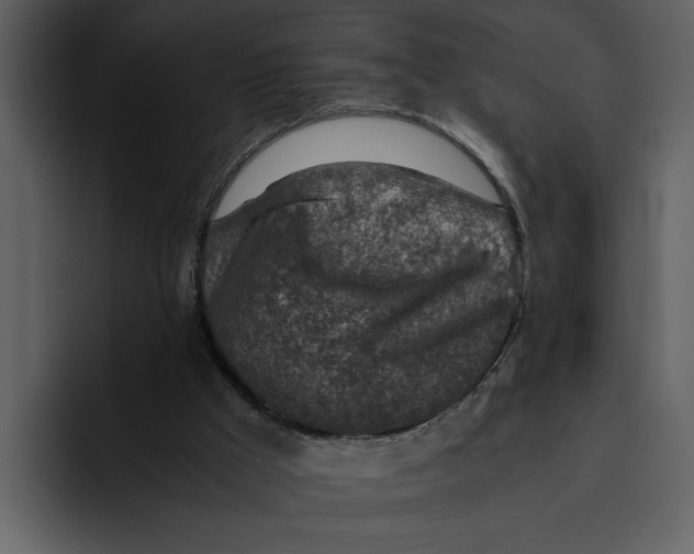 X0000095690009200801291226