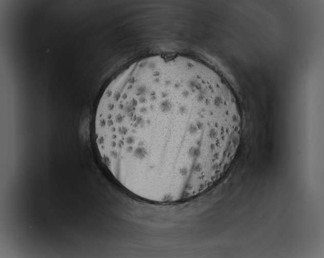 X0000095690010200801291226