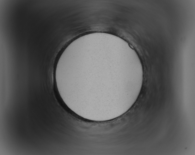 X0000095690011200801291226