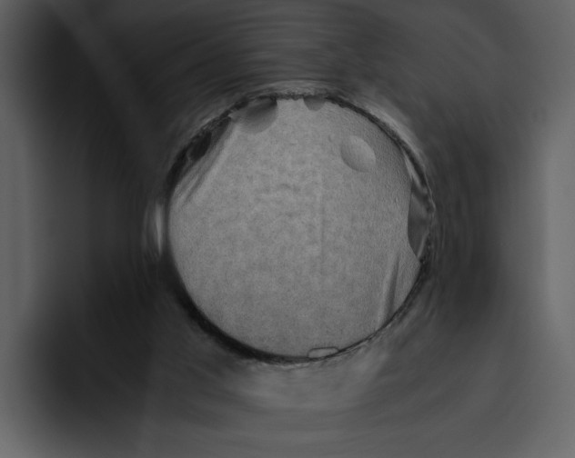 X0000095690013200801291226