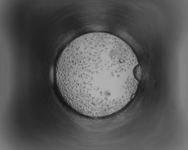 X0000095690014200801291226