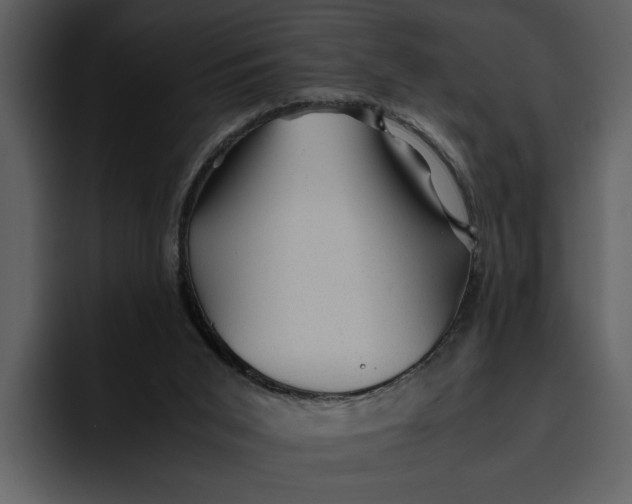 X0000095690015200801291226